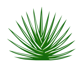 Authentic Mexican Cuisine at Casa Tequilana in Leeds, UT