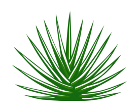 Casa Tequilana | Mexican Cuisine & Raw Seafood