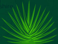 Casa Tequilana | Mexican Cuisine & Raw Seafood